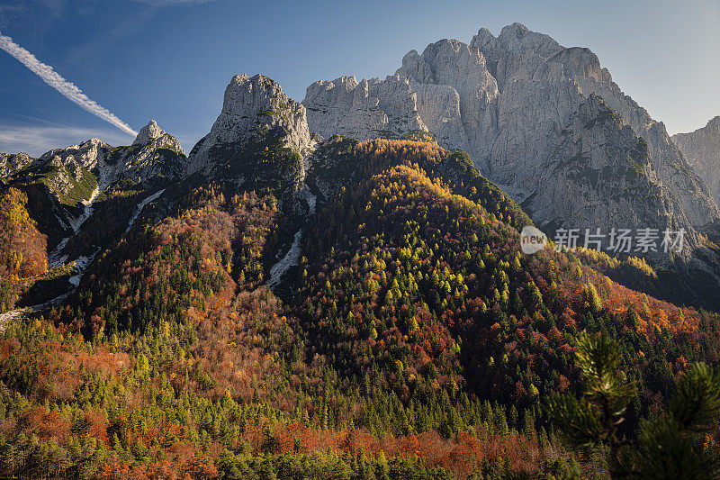 蒙塔兹山与Sella Somdogna，秋天落叶松，朱利安阿尔卑斯山，意大利，欧洲的观点